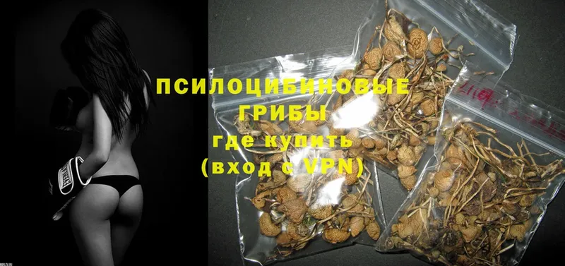 сколько стоит  Долинск  мега ссылка  Псилоцибиновые грибы GOLDEN TEACHER 