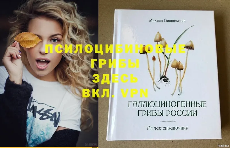 Галлюциногенные грибы GOLDEN TEACHER Долинск